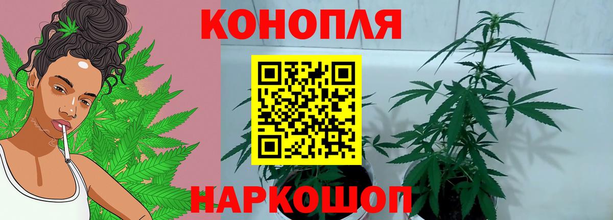 Шишки марихуана планчик  Бошки Шишки Ganja  Сергиев Посад  Каннабис марихуана  Вход с VPN 